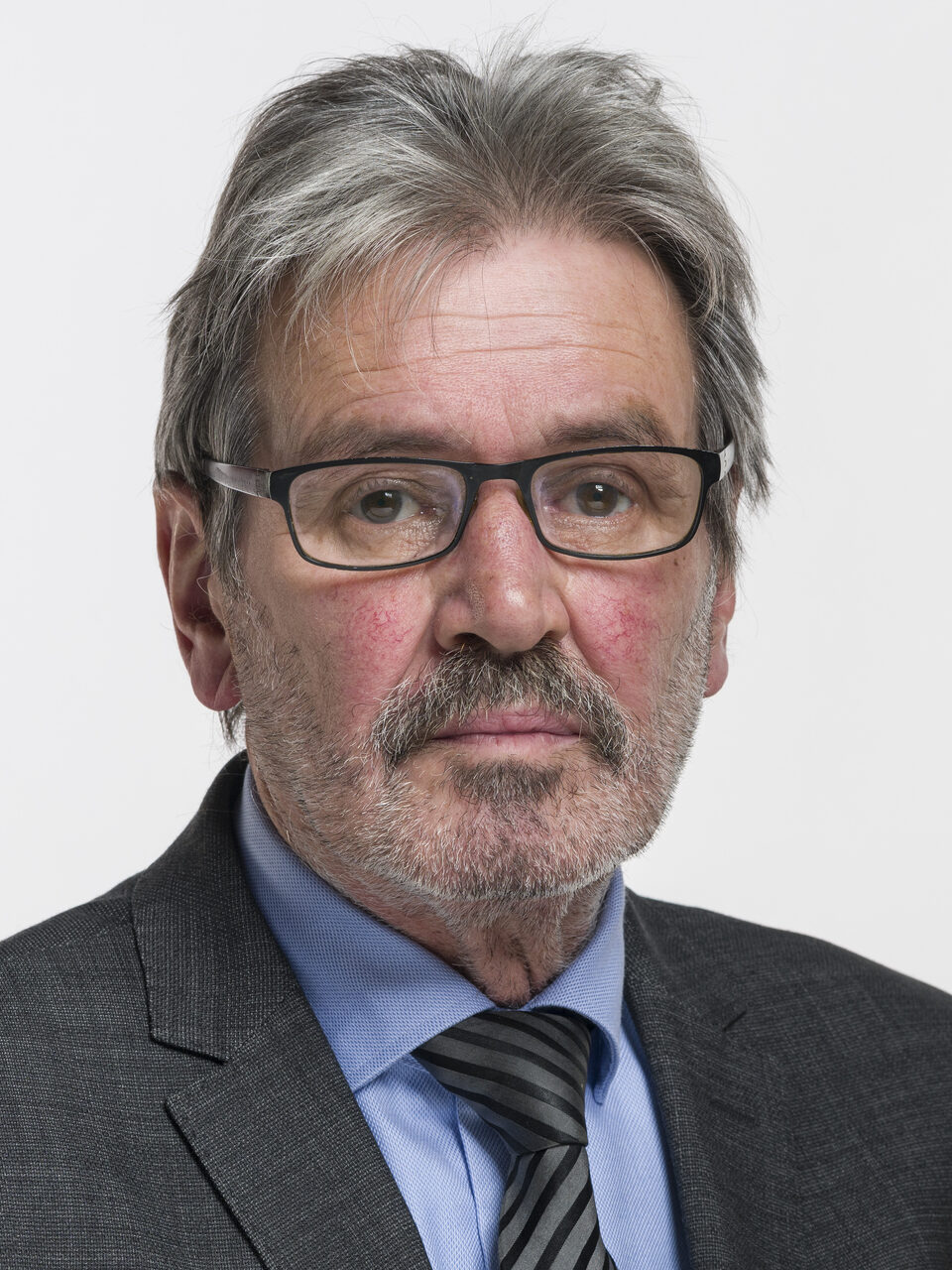 Portrait of Roberto Zanetti