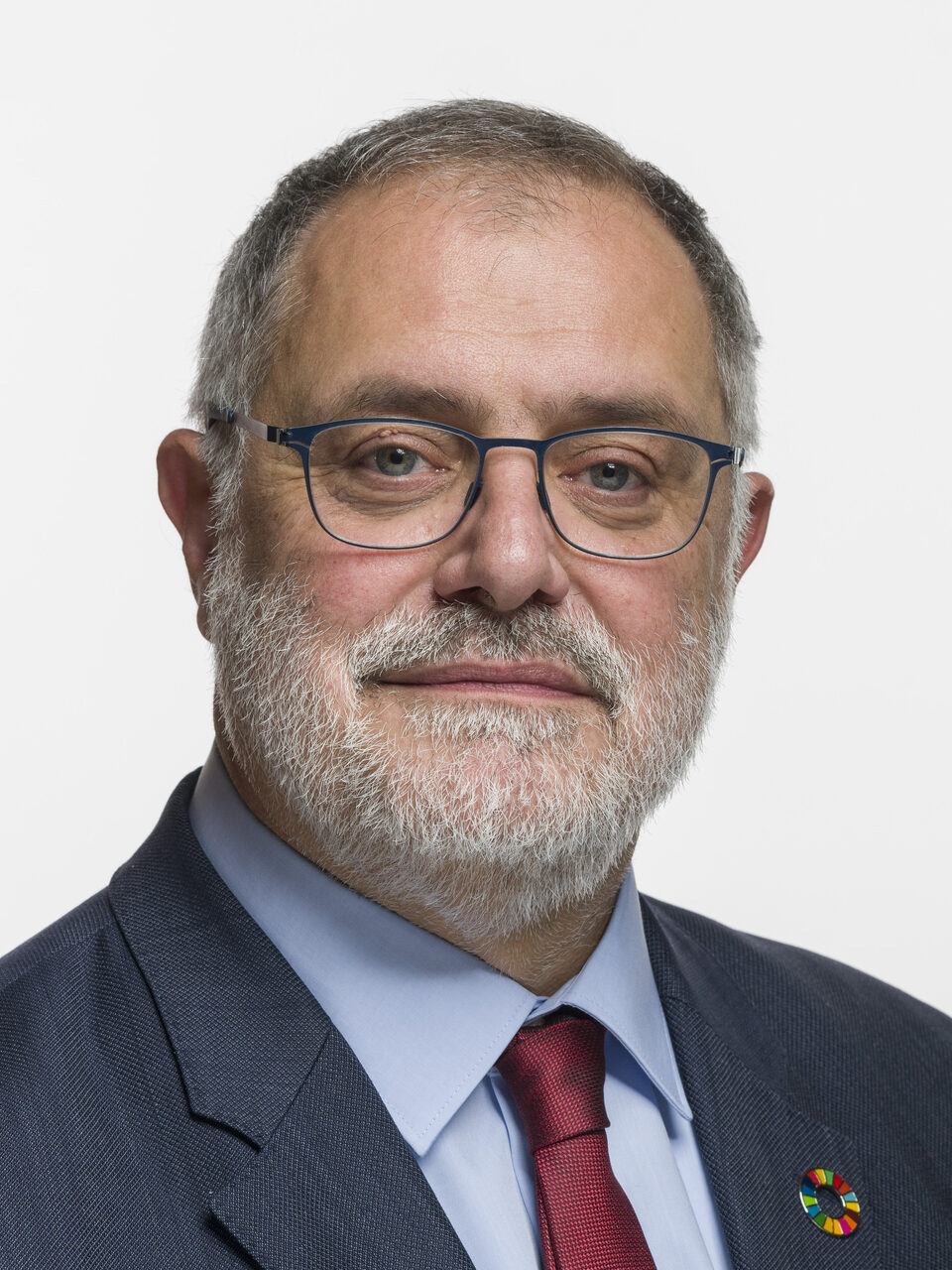 Portrait of Carlo Sommaruga
