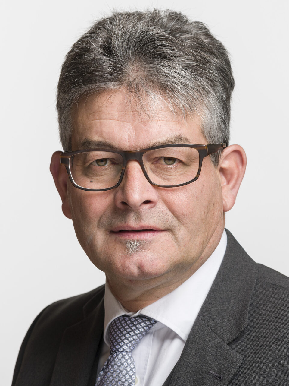 Portrait of Martin Haab